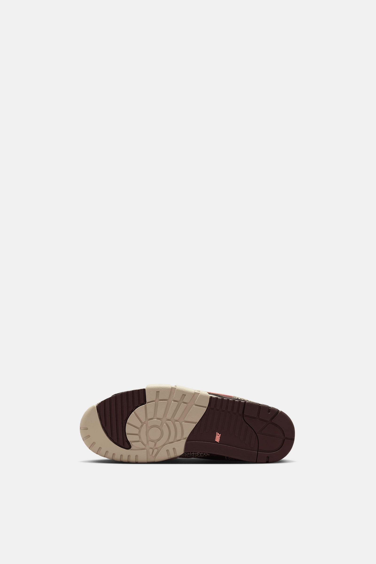 Nike SB Air Trainer 1 QS x Arts-Rec Skateshop