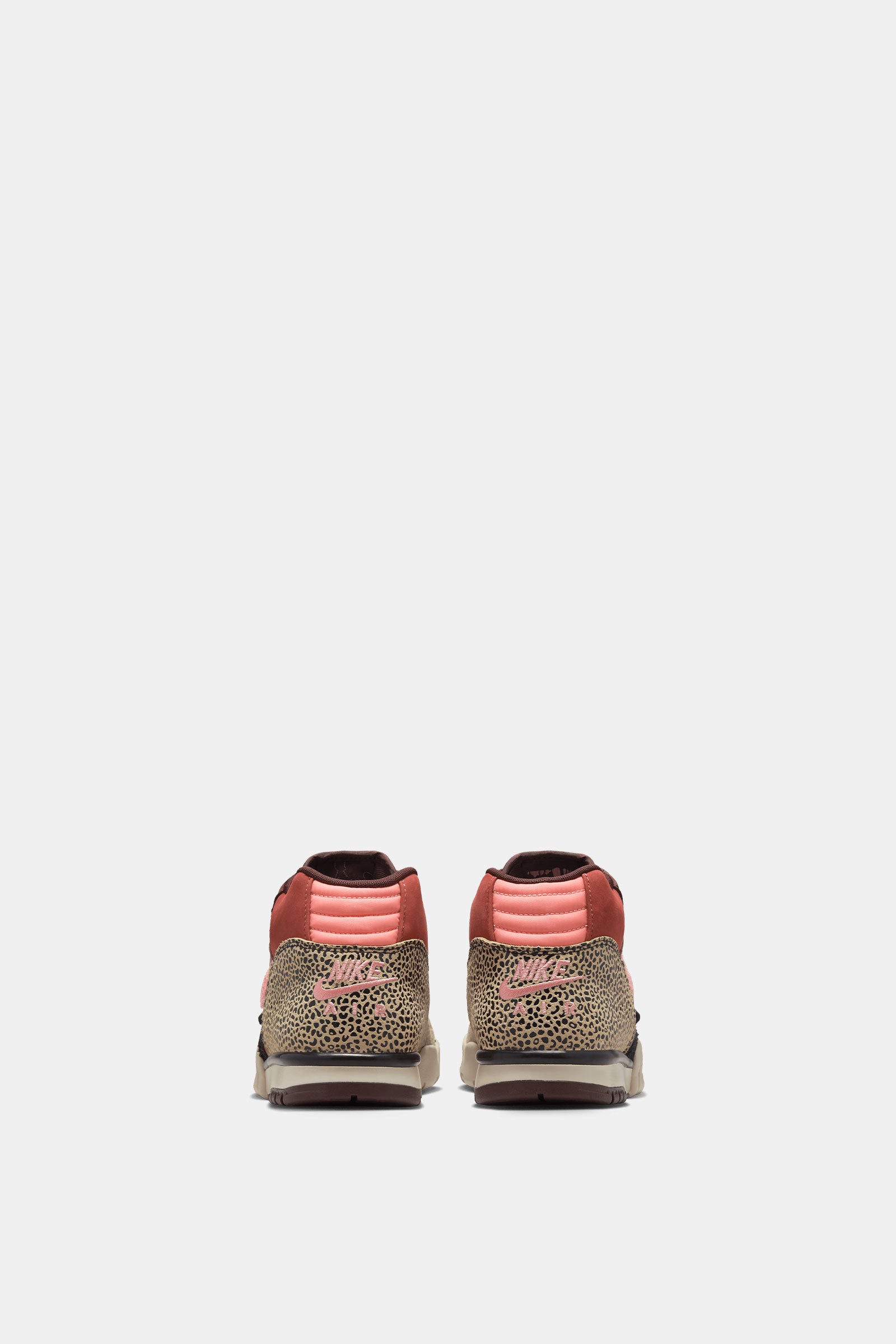 Nike SB Air Trainer 1 QS x Arts-Rec Skateshop
