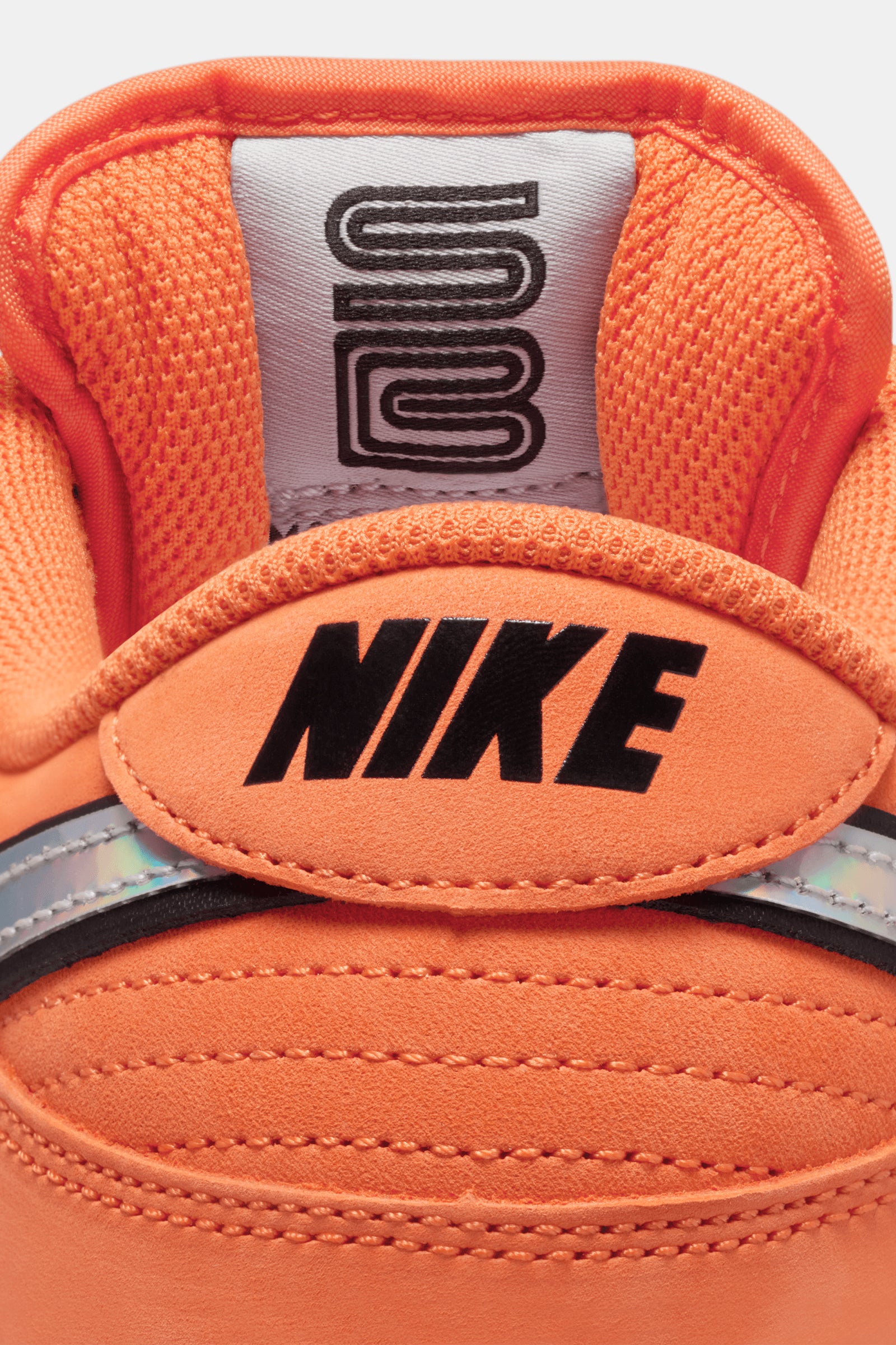 Nike SB Dunk Low Pro