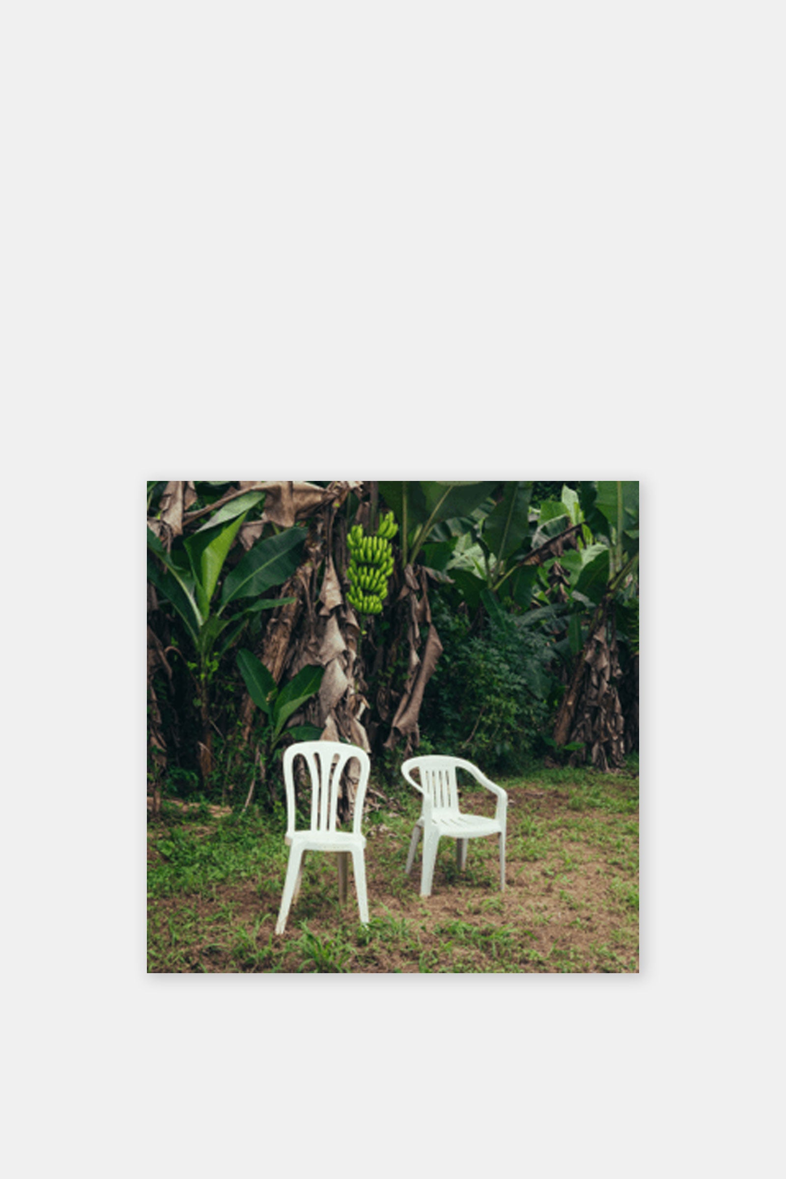Bad Bunny - Debi Tirar Mas Fotos