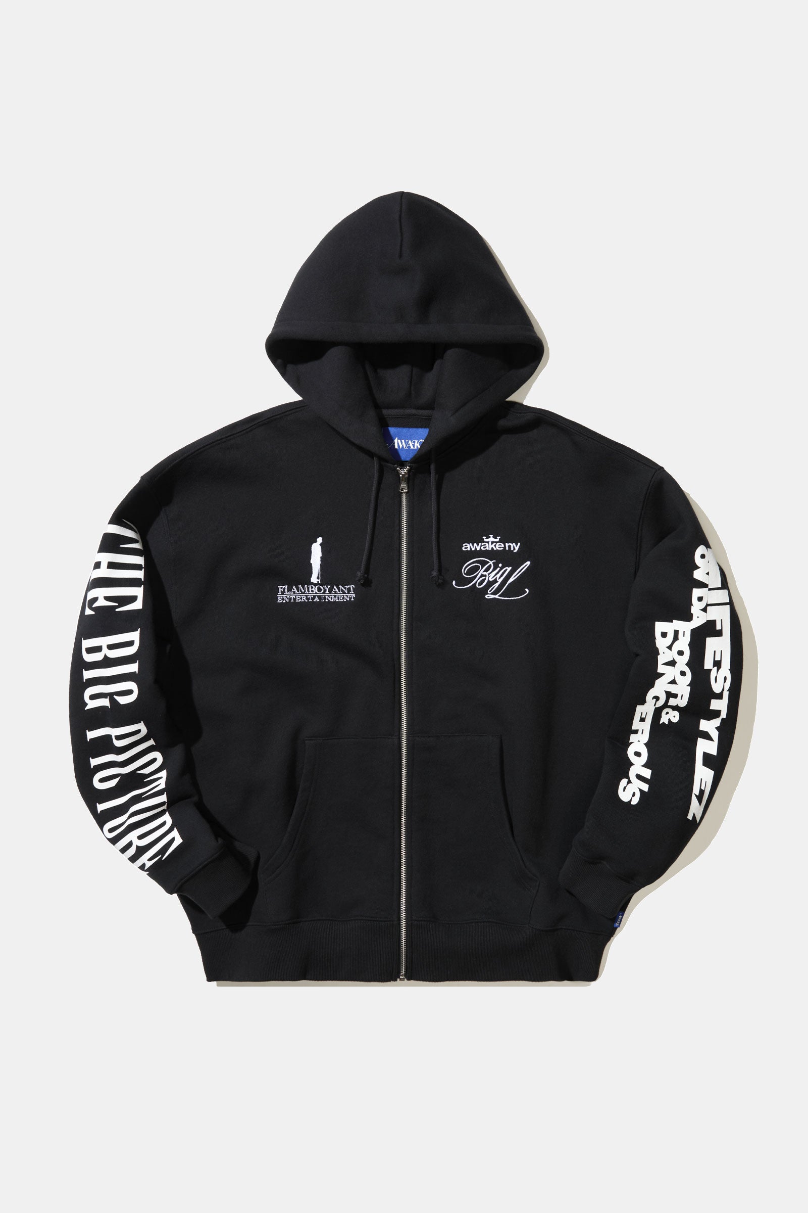 The Big Picture Zip Hoodie