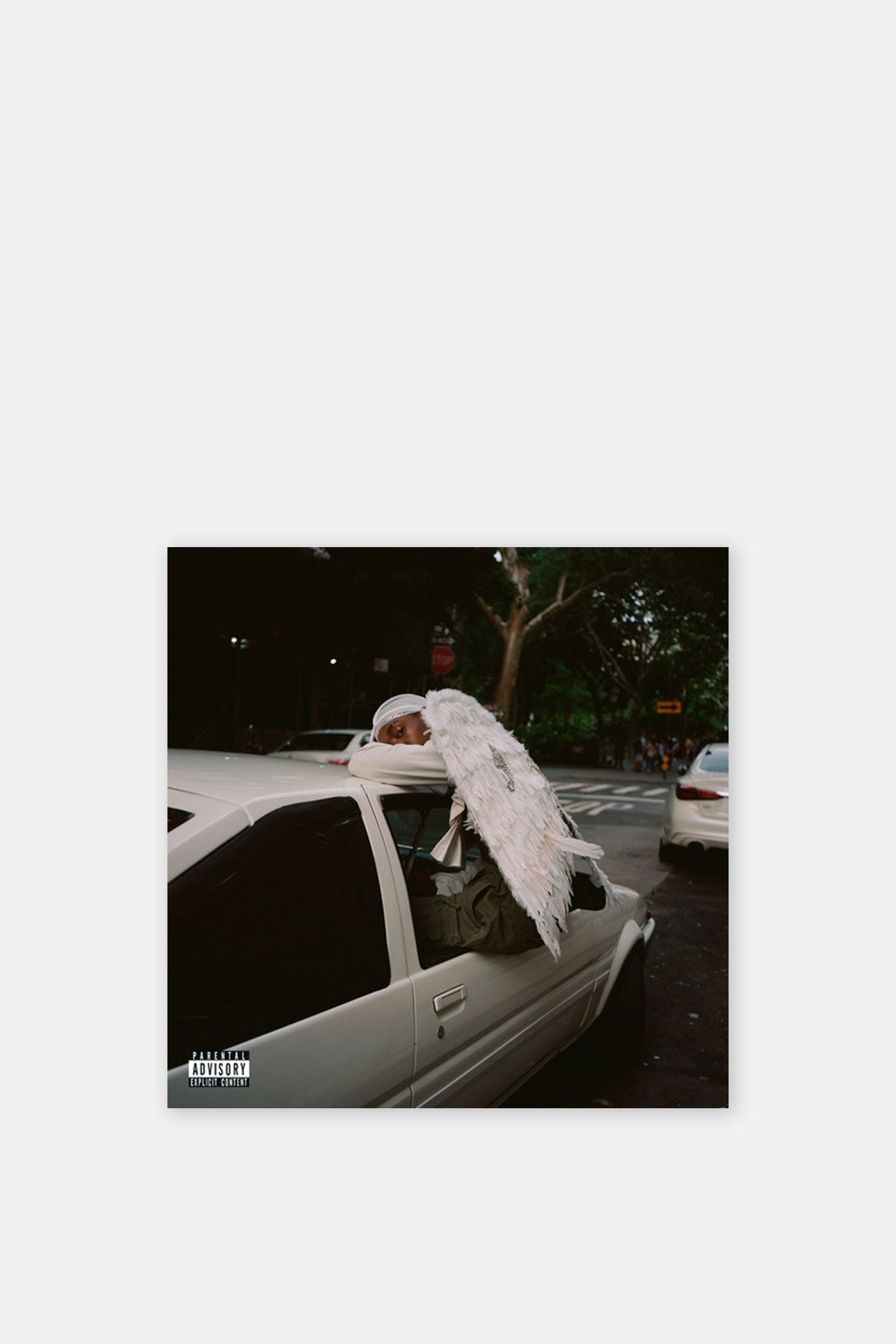 Blood Orange - Negro Swan