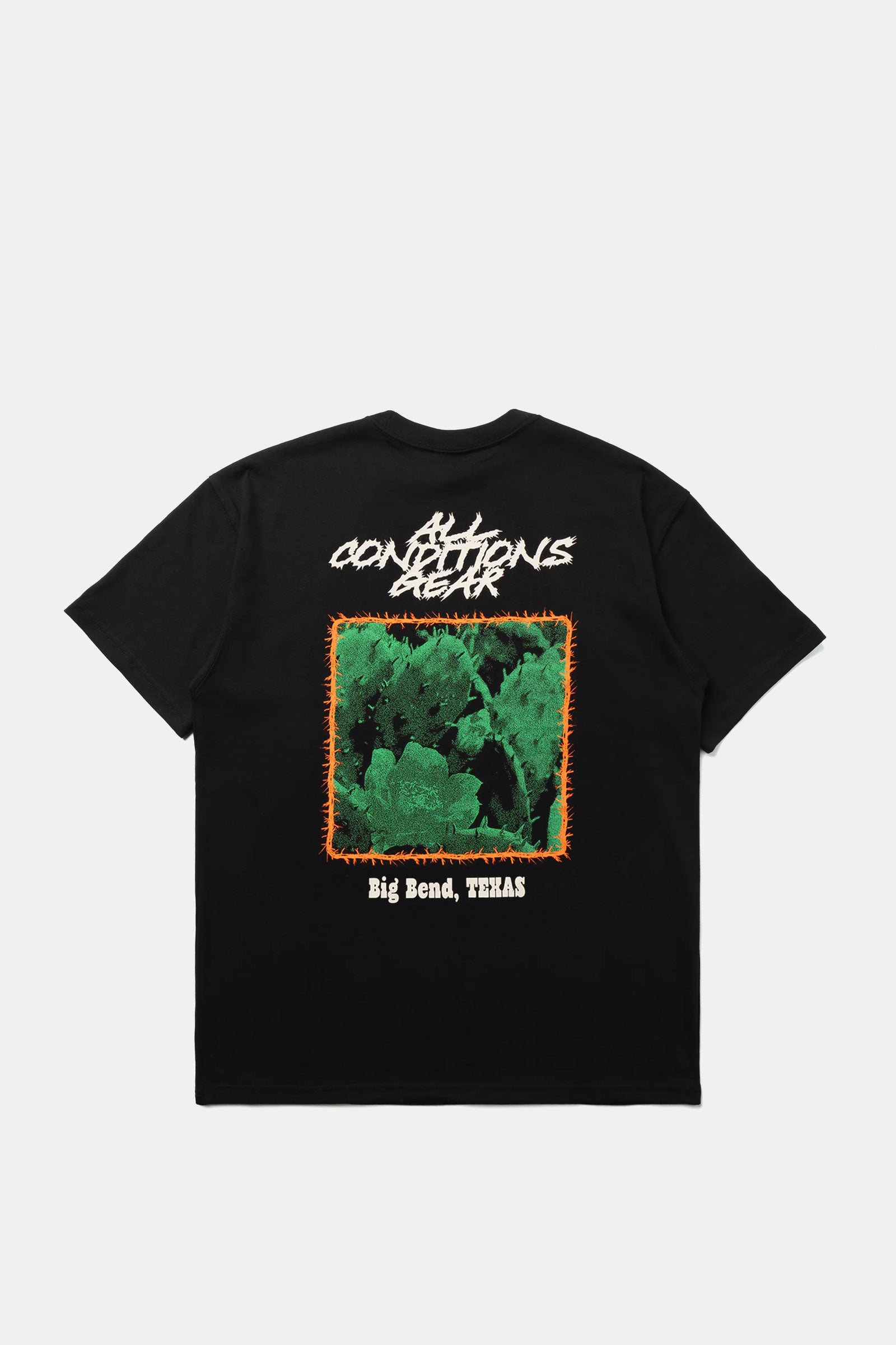 Nike ACG OC Cactus Tee