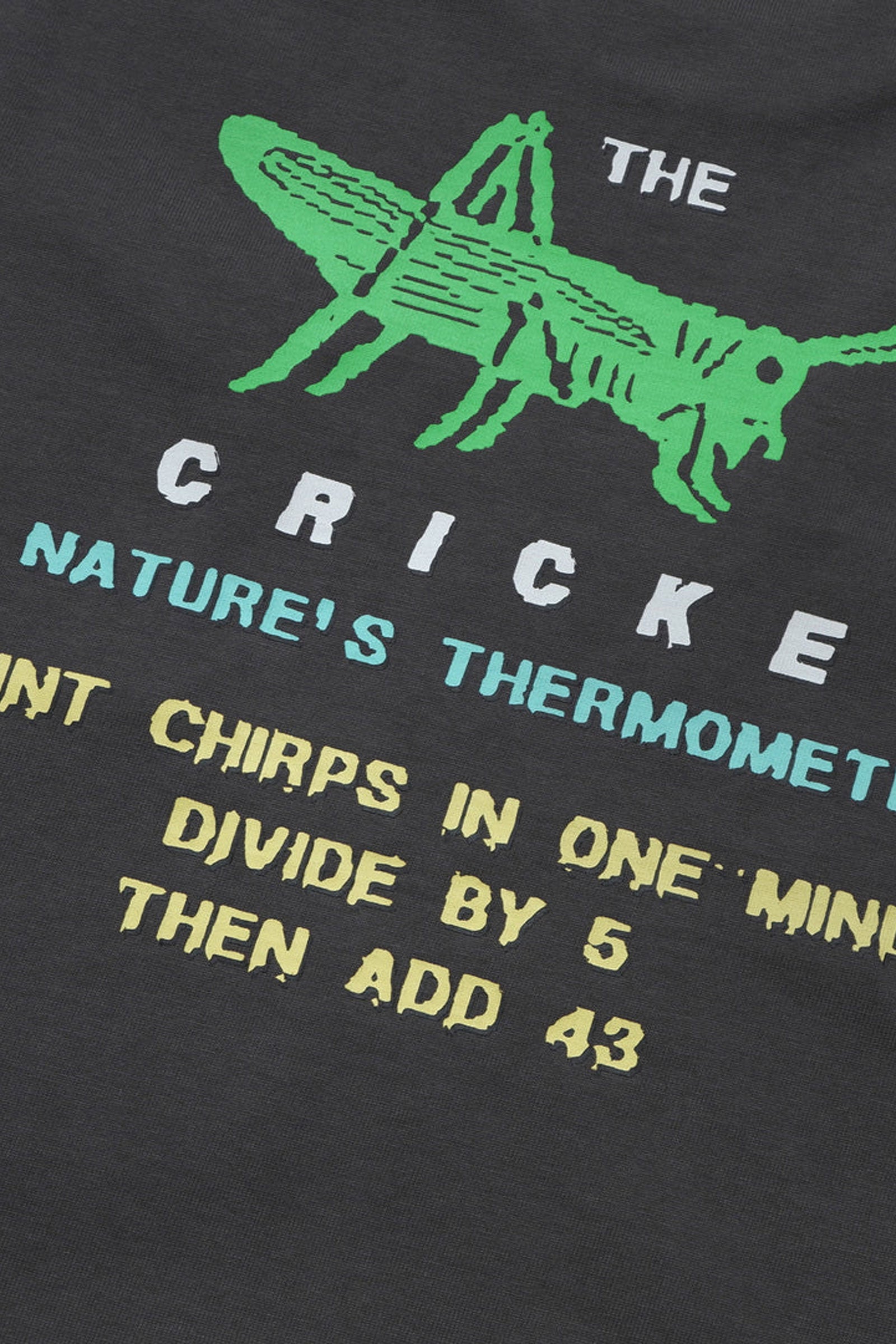 Cricket Heavy Pocket Tee