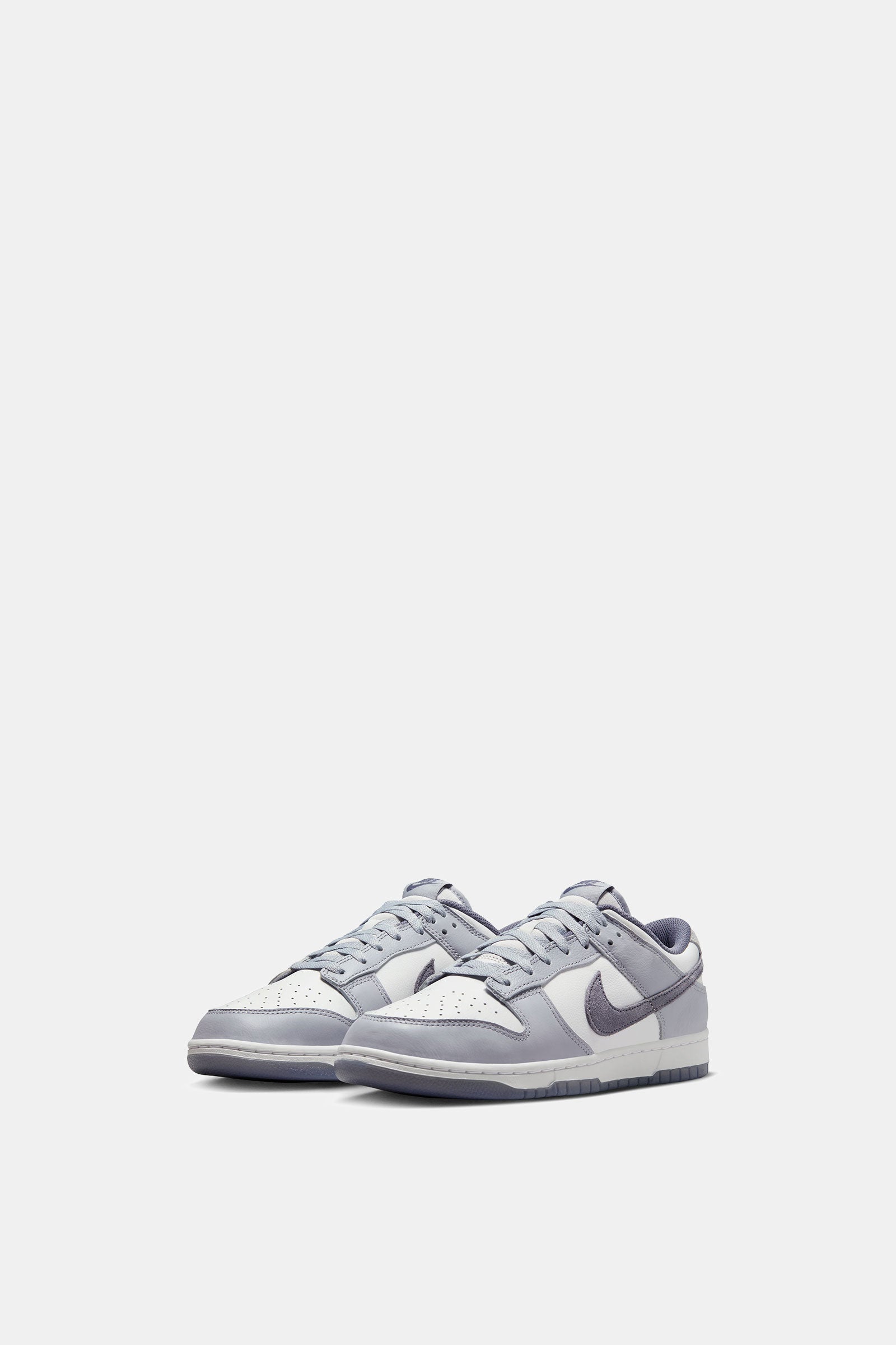 Nike Dunk Low Retro Premium