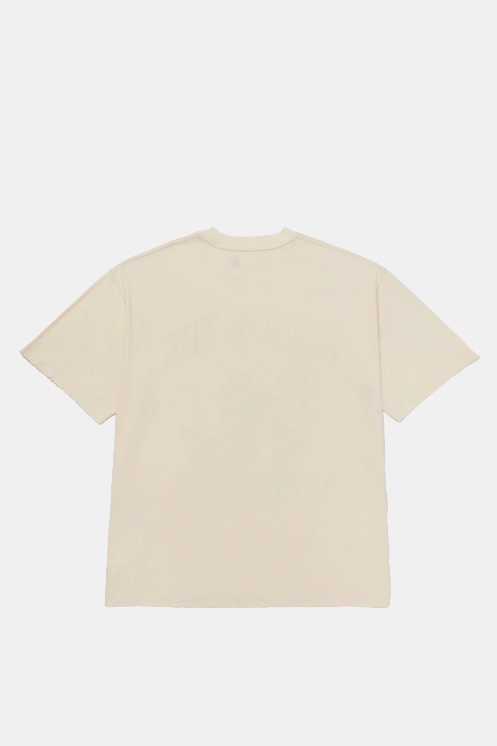MYSTERY OF PAIN T-SHIRT