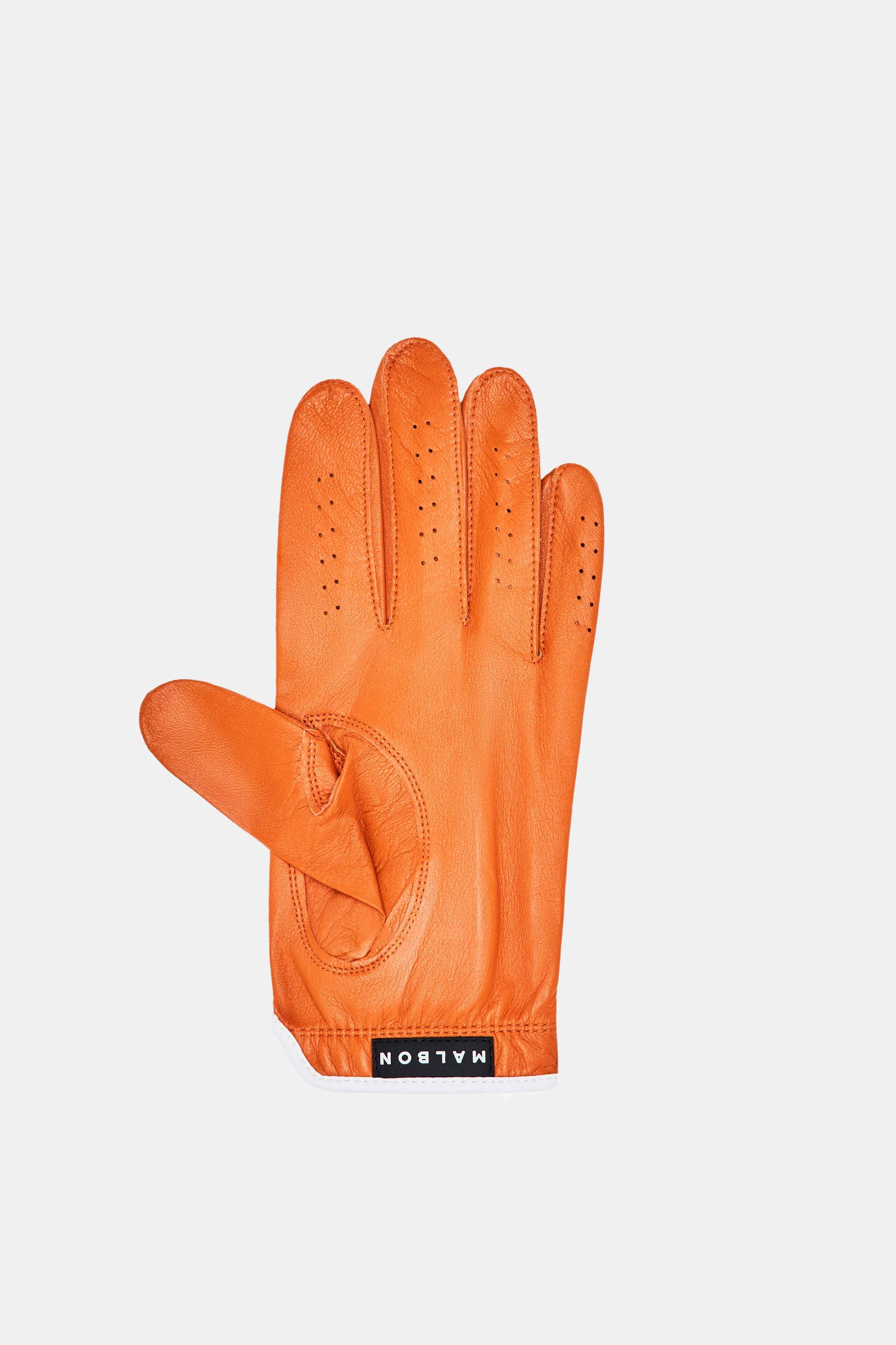 Palmera Glove