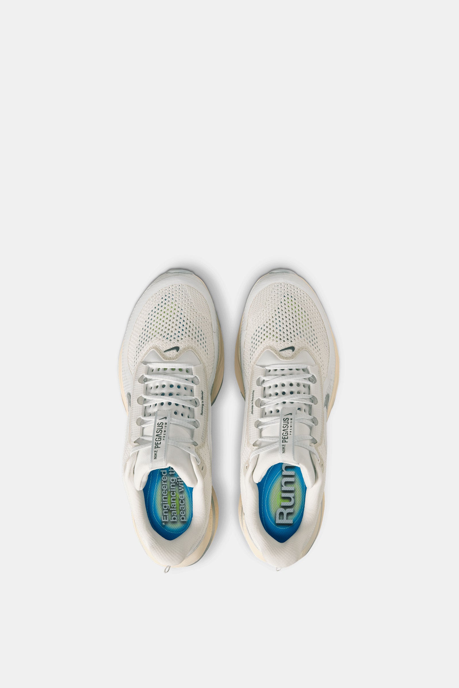 Nike Pegasus Premium