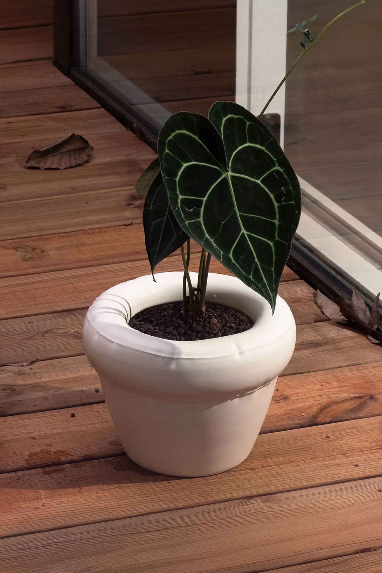 Planter 'PIERRE'