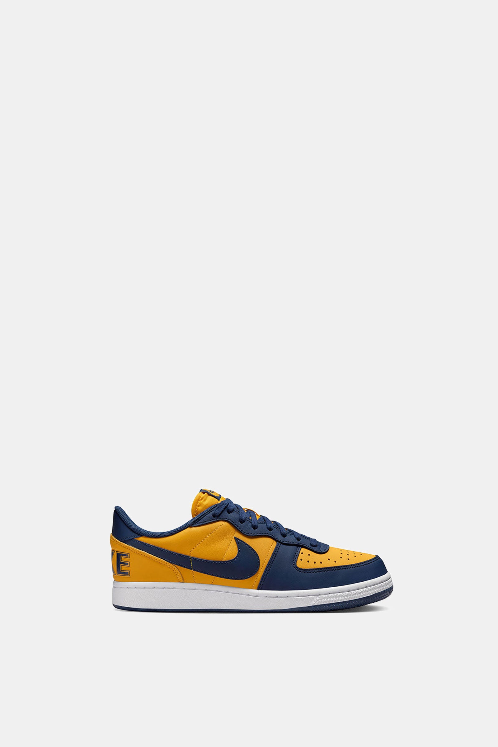 NIKE TERMINATOR LOW OG