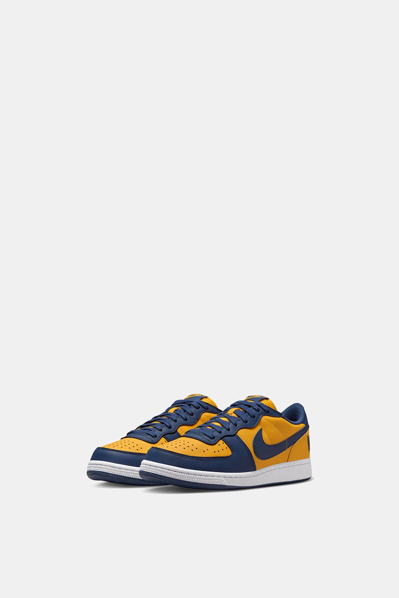 NIKE TERMINATOR LOW OG