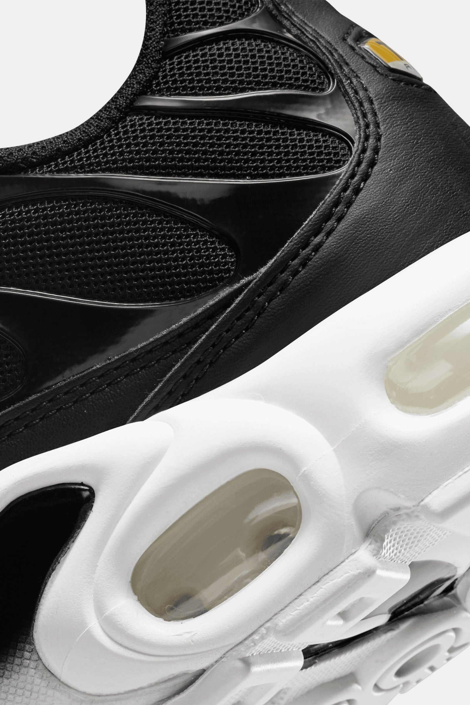 Women's Nike Air Max Plus